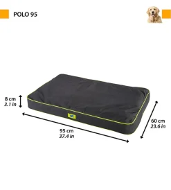 Clearance Cuscino 