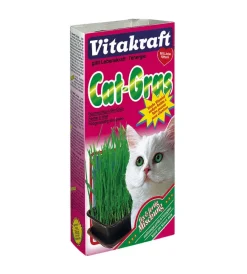 Sale Erba gatta in vaschetta Stick