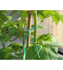 Coltivazione E Cura- Filo per giardinaggio in ferro plastificato, verde, 100 metri