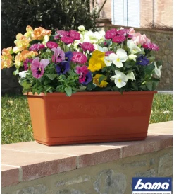 Bama Coltivazione E Cura|Fioriera balconella cm 60 c/sottovaso terracotta