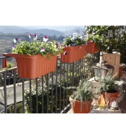 Online Fioriera da balcone 