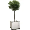 Coltivazione E Cura-Garofalo Fioriera da esterno "florì evo 40", 42,5x42,5x38 cm -