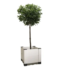 Coltivazione E Cura-Garofalo Fioriera da esterno "florì evo 40", 42,5x42,5x38 cm -