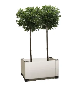 Garofalo Coltivazione E Cura|Fioriera da esterno "florì evo 80", 82,5x42,5x38 cm -