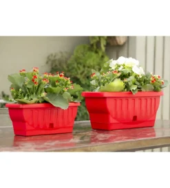 Fioriera natura cm 30 rosso corallo Coltivazione E Cura