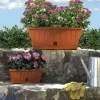 Bama Coltivazione E Cura|Fioriera natura cm 80 terracotta