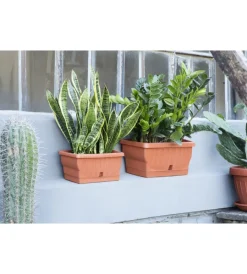 Bama Coltivazione E Cura|Fioriera natura cm. 30 terracotta