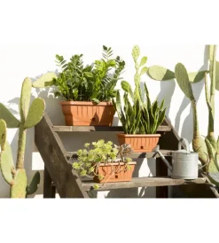 Bama Coltivazione E Cura|Fioriera natura cm. 30 terracotta