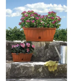 Bama Coltivazione E Cura|Fioriera natura cm. 30 terracotta