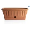 Coltivazione E Cura-Bama Fioriera natura cm. 40 terracotta