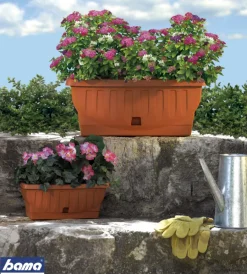 Bama Coltivazione E Cura|Fioriera natura cm 60 terracotta
