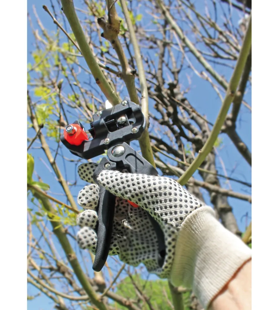 Discount Forbice da innesto manuale "1486405" Attrezzatura Giardinaggio