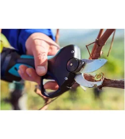 Potatori-Campagnola Forbice da potatura a batteria 