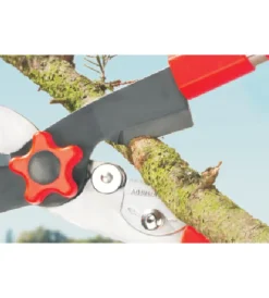 Online Forbice per siepi 2 in 1, telescopica Attrezzatura Giardinaggio
