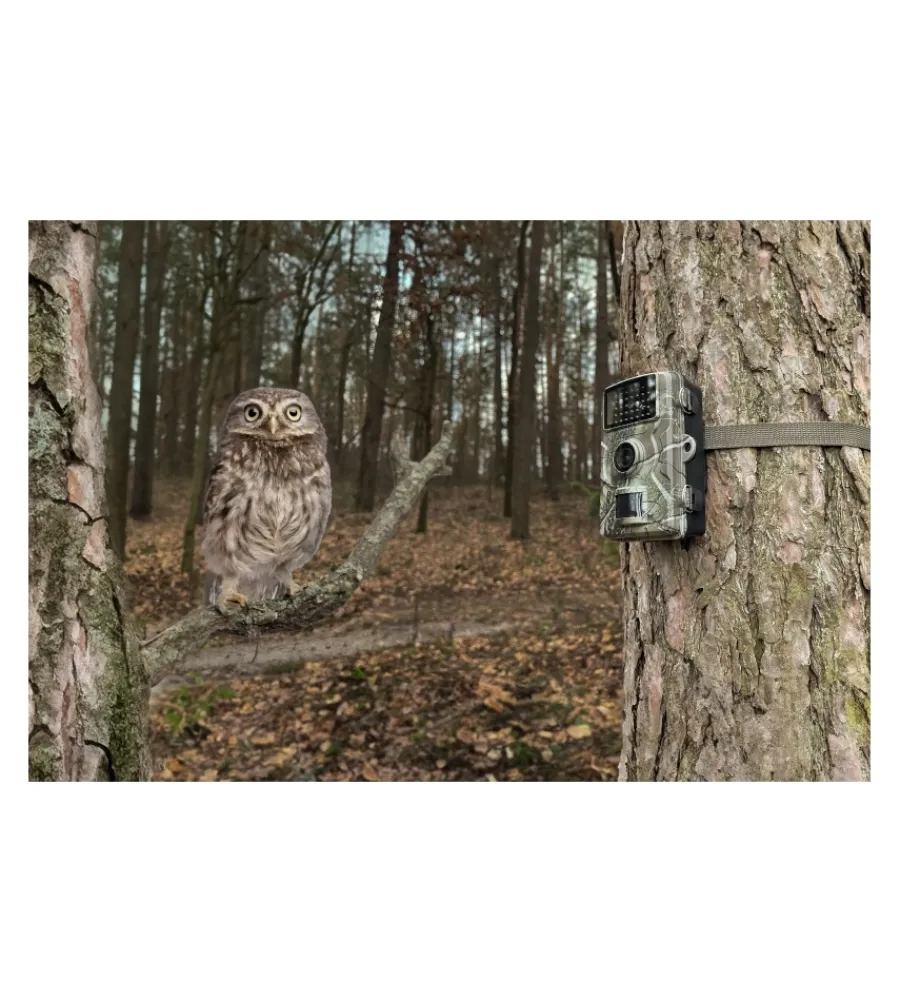 Discount Fototrappola technaxx "wildcam" 1080p tx-256 Videosorveglianza