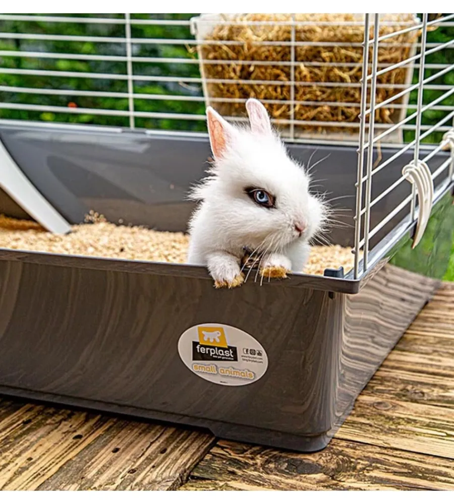 Sale Gabbia per conigli "rabbit 100" grigio, 95x57xh46 cm - Gabbie Per Roditori