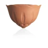 Outlet Gerla natura terracotta Coltivazione E Cura
