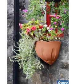 Outlet Gerla natura terracotta Coltivazione E Cura