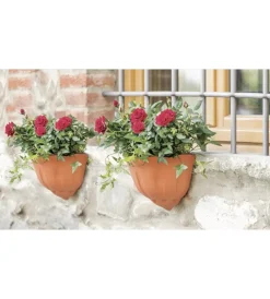 Outlet Gerla natura terracotta Coltivazione E Cura