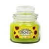 Decorazione Ambienti- Giara piccola in vetro "capri" con candela alla citronella