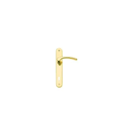Ferramenta Per Mobili E Infissi|Guarnitura con placca serie eva - 90 mm. - foro chiave - ottone lucido
