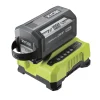 Ryobi Batterie E Caricatori Per Macchine Giardinaggio|Kit caricabatterie singolo rapido e batteria di ricambio "ry36bc60a-160" 36v 6ah
