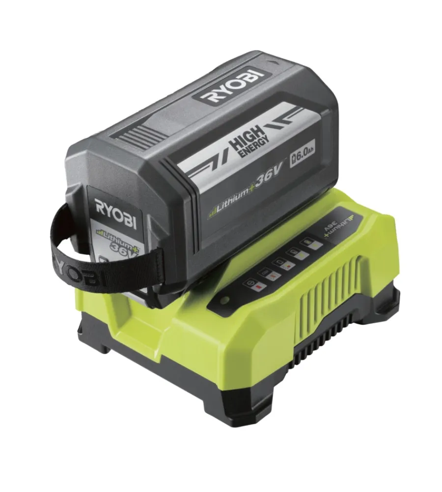 Ryobi Batterie E Caricatori Per Macchine Giardinaggio|Kit caricabatterie singolo rapido e batteria di ricambio "ry36bc60a-160" 36v 6ah