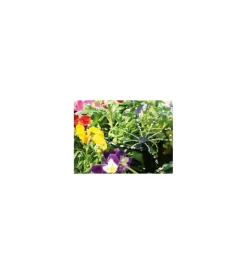 Irrigazione-G.F. Kit goccia 
