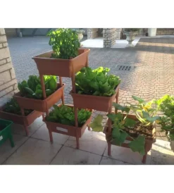 Sale Kit orto e orto Coltivazione E Cura