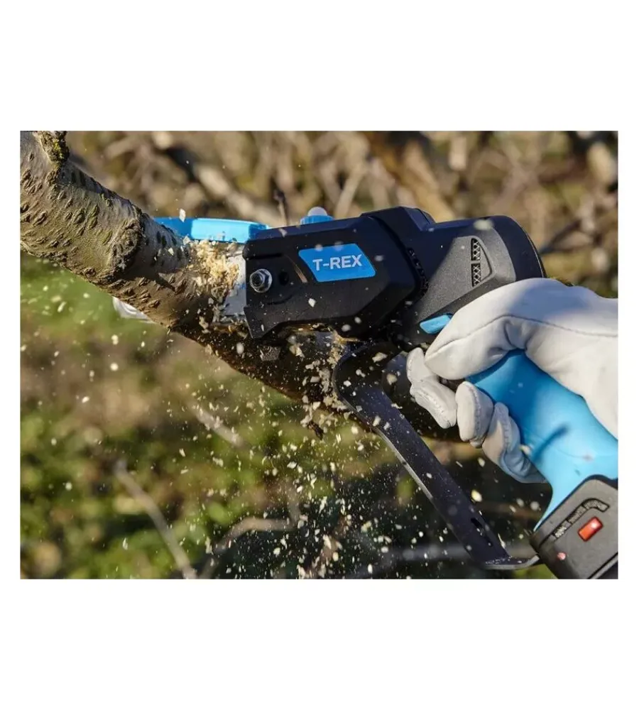 Campagnola Potatori|Kit valigetta potatore a catena a batteria "t-rex" barra 10 cm 2 batterie 21,6v 2,5ah e 4,2ah, caricabatterie tripla uscita, kit attrezzi e copri-barra