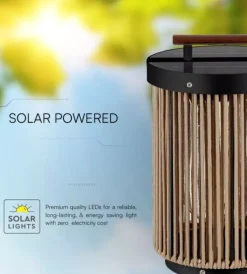 Illuminazione Per Esterno|Lampada led solare ricaricabile da esterno vtac marrone con telecomando 3000k