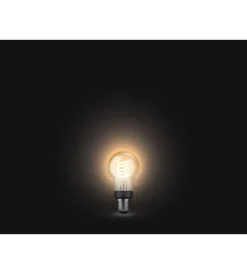 Lampadine-Philips Lampadina 