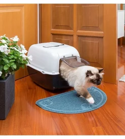 Sale Lettiera toilette gatto chiusa