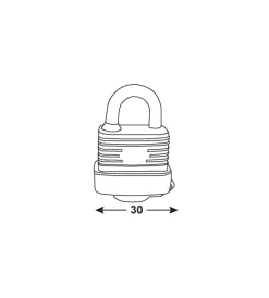 Serratura E Sicurezza|Lucchetto acciaio zincato idrorepellente 30 mm.