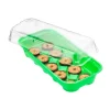 New Mini serra masidef con 10 vasetti 26x11x7 cm Coltivazione E Cura