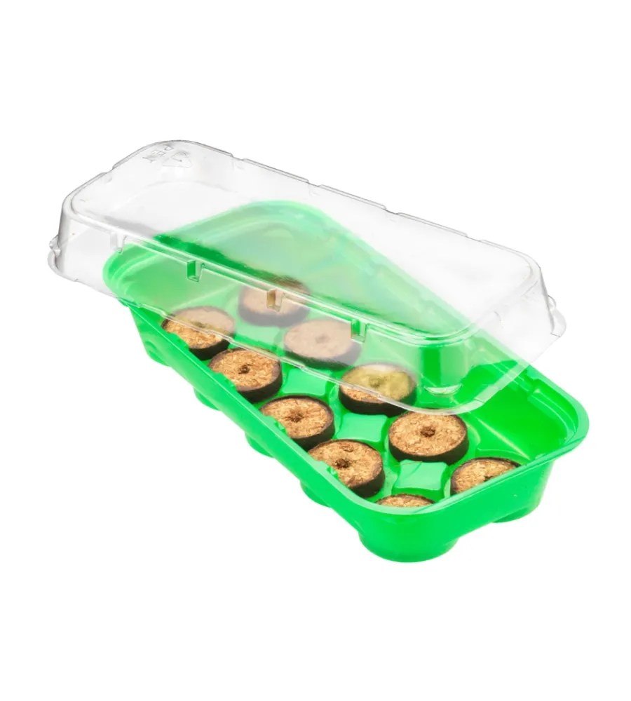 New Mini serra masidef con 10 vasetti 26x11x7 cm Coltivazione E Cura