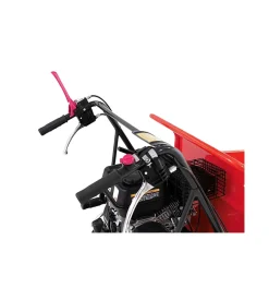 Motocarriole-Ama Motocarriola cingolata
