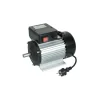 Ribimex Motori Elettrici E Pulegge|Motore elettrico 2 cv monofase 2750 g/min con interruttore - .