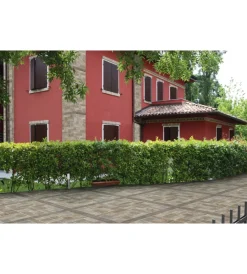 Rivestimento Murale- Muro di siena beige 31x62 scat. 1.35mq