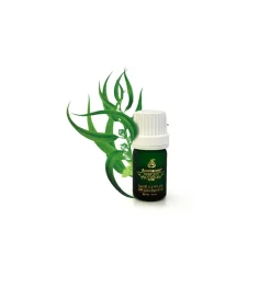 Discount Olio essenziale di tea tree 5 ml Decorazione Ambienti