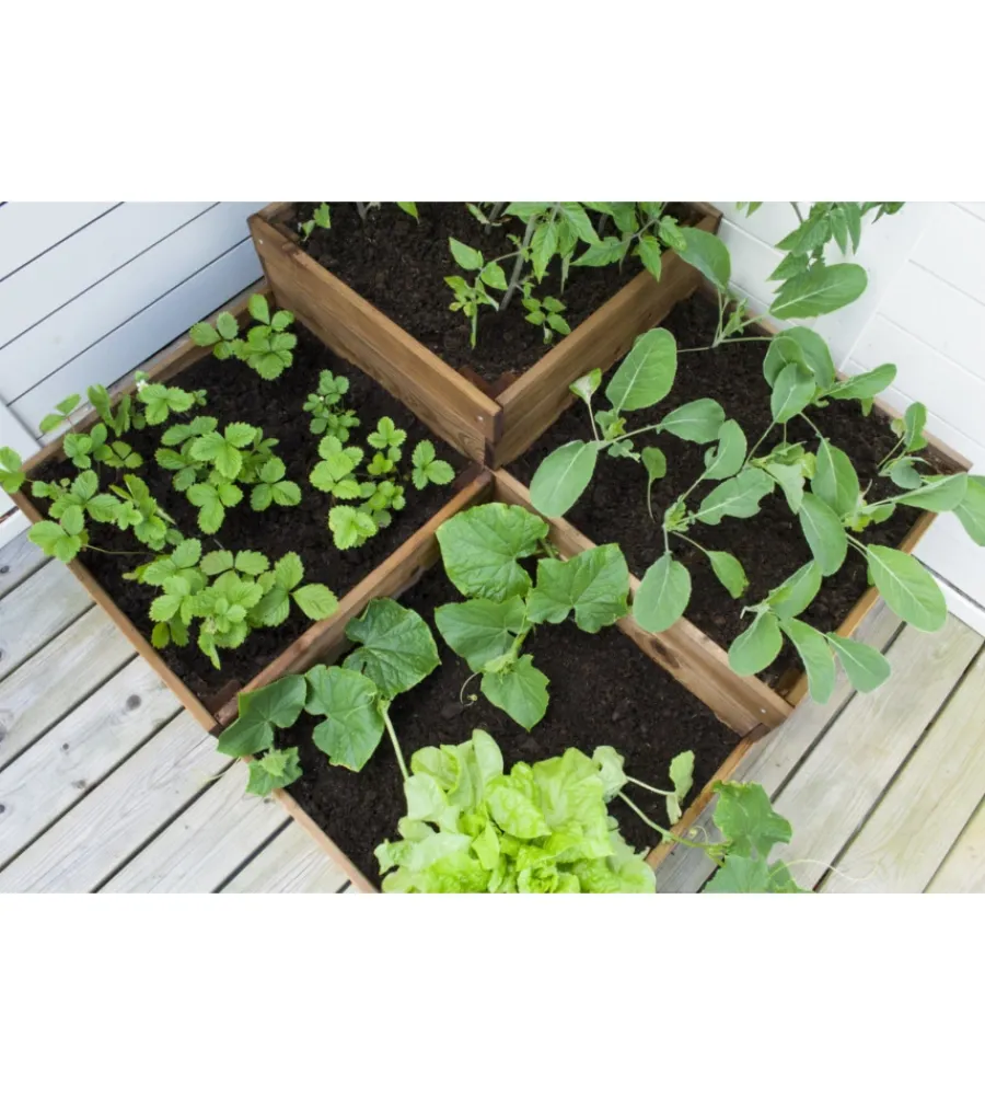 Clearance Orto da esterno in legno four, 90x90 cm Coltivazione E Cura