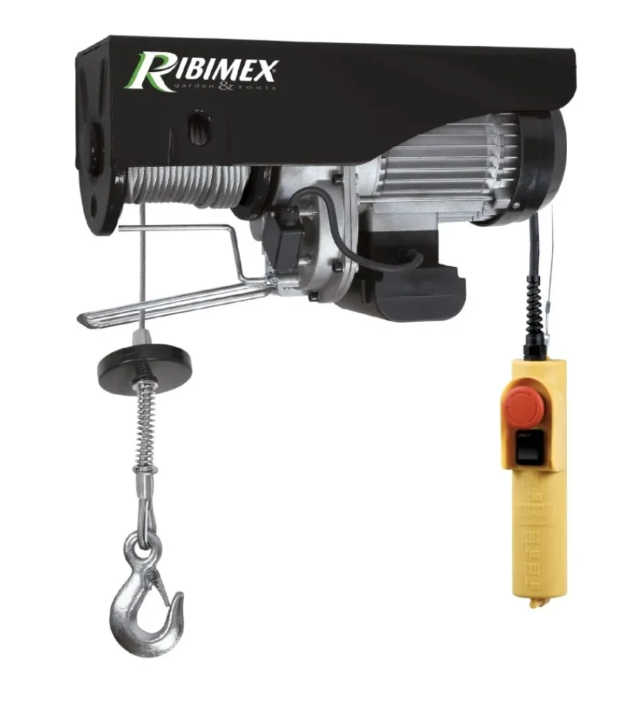 Ribimex Paranchi E Vericelli|Paranco elettrico "pe125/250c/1" da 125/250 kg, 540 w.