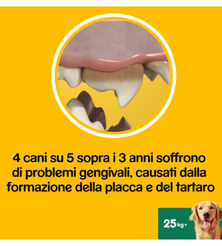 Stick-Pedigree - dentastix snack igiene orale large, 42 pz