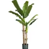 Fiori Artificiali|Pianta di banano in polietilene, 170 cm