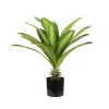 New Pianta di dracaena in polietilene con 19 foglie, 60 cm Fiori Artificiali
