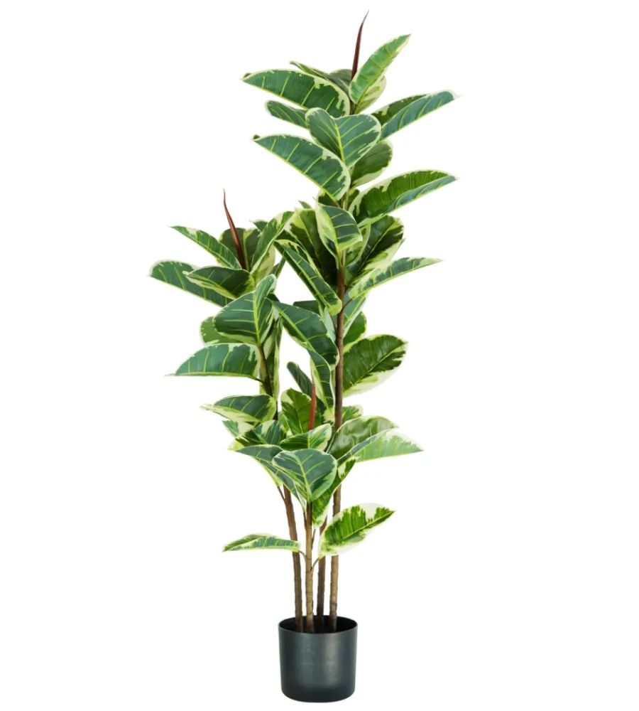 Fiori Artificiali- Pianta di ficus elastica in polietilene con 54 foglie, 145 cm