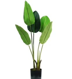 Fiori Artificiali- Pianta strelitzia in polietilene con 5 foglie, 100 cm
