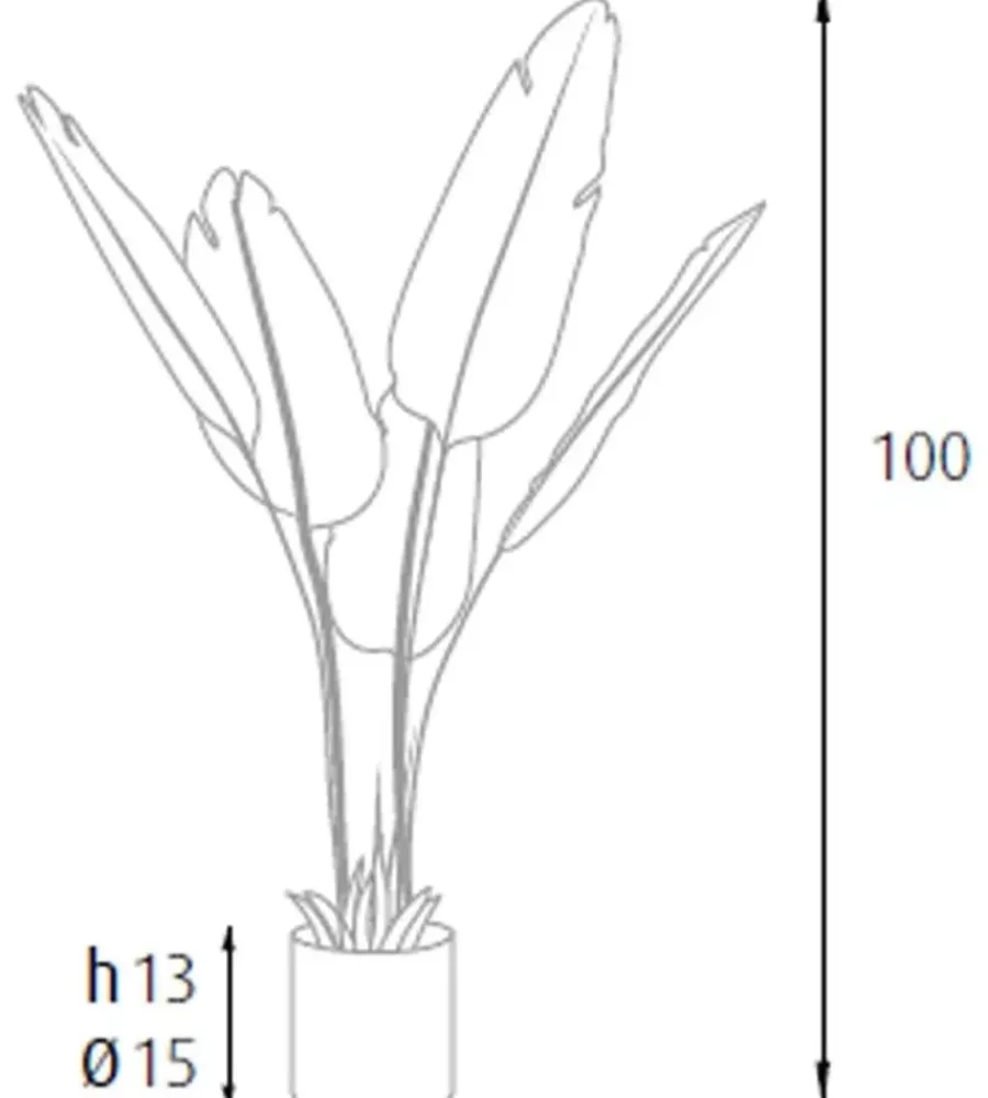 Fiori Artificiali- Pianta strelitzia in polietilene con 5 foglie, 100 cm
