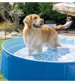 Piscine-Intex Piscina fuori terra con struttura pieghevole rigida per cani azzurra 152x152x30 cm - cod. 48400np