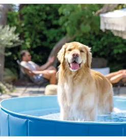 Piscine-Intex Piscina fuori terra con struttura pieghevole rigida per cani azzurra 152x152x30 cm - cod. 48400np